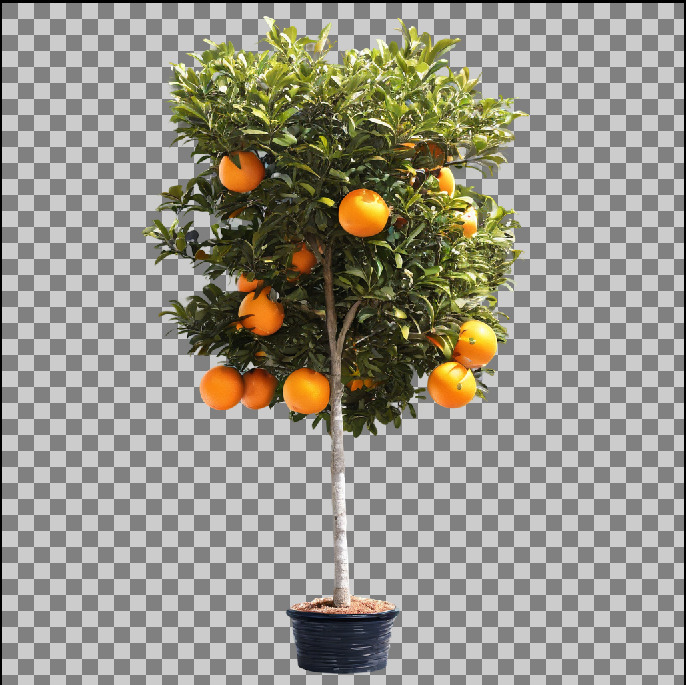 Validation example with multiple oranges on a tree